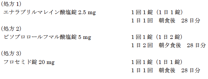 解説画像